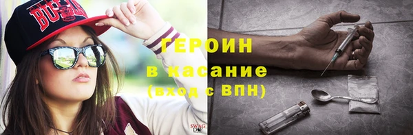 хмурый Аркадак