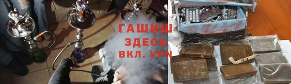 хмурый Аркадак