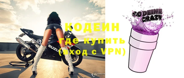 хмурый Аркадак