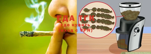 хмурый Аркадак