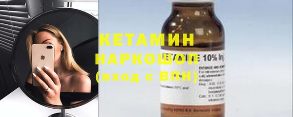 хмурый Аркадак