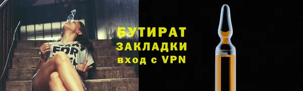 хмурый Аркадак