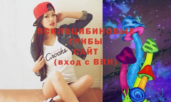 хмурый Аркадак