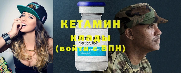 хмурый Аркадак