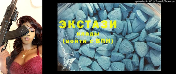 хмурый Аркадак